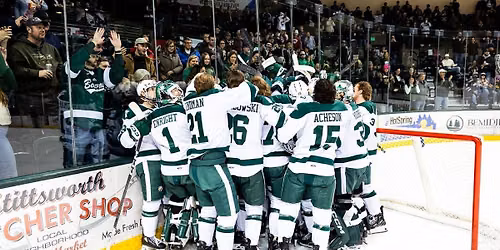 Ferris State Bulldogs at Bemidji State Beavers Mens Hockey