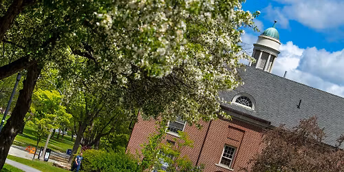 Parking cOsmO - Princeton