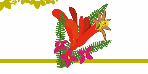 Millbrook Growers Gravesend - Hardy Antipodeans