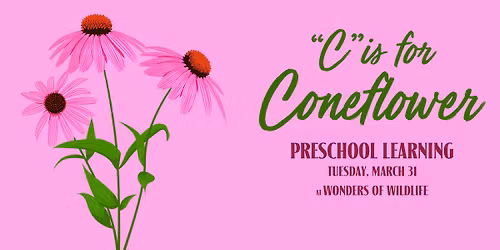 Preschool Learning Classes at Wonders of Wildlife