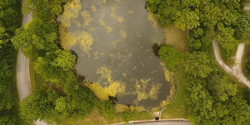 Pok\u00e9mon of Plum Creek