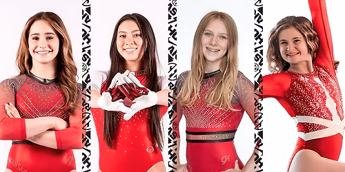 Parking Arkansas Razorbacks at LSU Tigers Womens Gymnastics