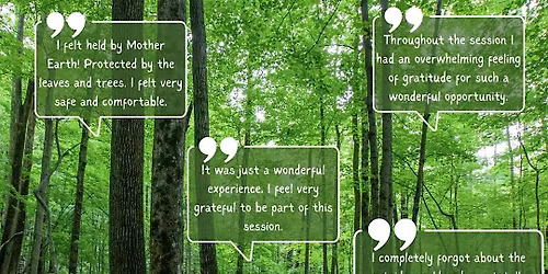 Forest Bathing Experience: Stress Relief and relaxation in Worcester Woods