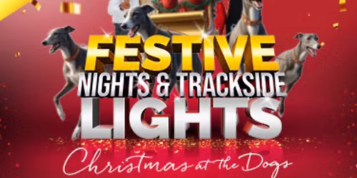 Festive Nights & Trackside Lights - Christmas at Newcastle Dogs!!