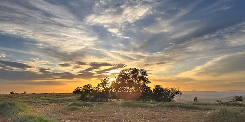 Sierra Foothill Conservancy: Tribal Engagement and More from Your Local Land Trust