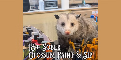 18+ Sober Opossum Paint & Sip