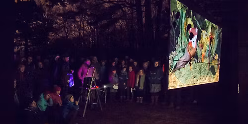 Kurzfilmwanderung im Wald