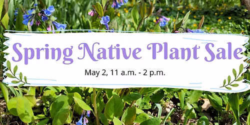 Spring Native Plant Sale