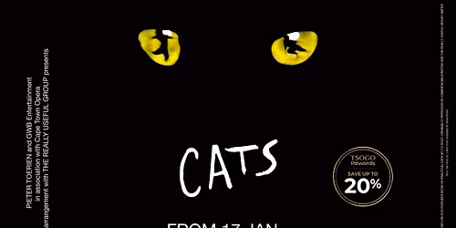 CATS the Musical Pounces into Joburg!