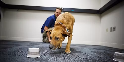 CANINE COGNITION SEMINAR