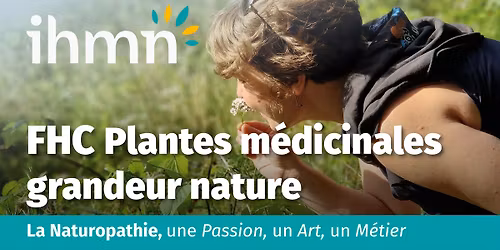 Plantes m\u00e9dicinales grandeur nature