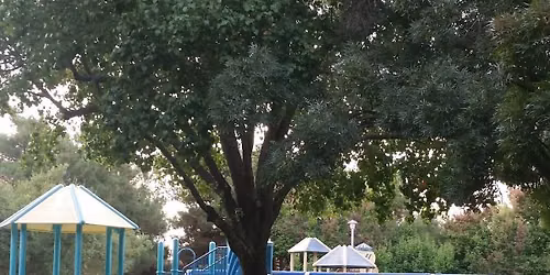 Community Conversation with Sandra White - Knoll Park