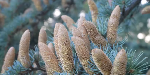 Kil\u00e1t\u00f3r\u00f3l kil\u00e1t\u00f3ra t\u00fara \u2013 Fedezd fel vel\u00fcnk a K\u00f6z\u00e9p-Mecsek cs\u00facsait!