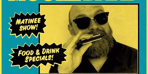 Blues Harp Stylings of Andy Moore Band LIVE at Holmans