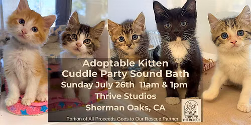 Adoptable Kitten Sound Bath + Cuddle Party with Rory to the Rescue