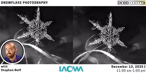 Snowflake Photography with Laowa in Cleveland