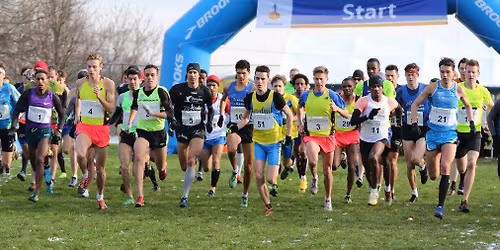 Abdijcross zaterdag: Eurode Trailruns