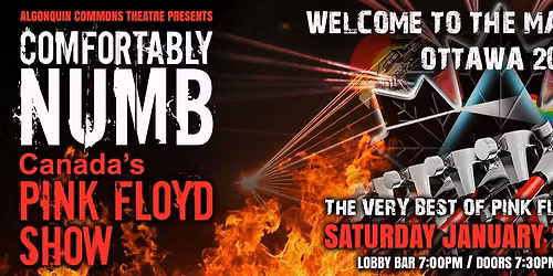 Parking Comfortably Numb - Canada's Pink Floyd Show