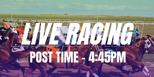 Live Quarter Horse Racing at Retama Park