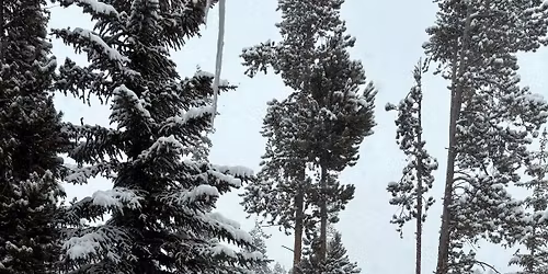 SJSJ Killington with 3rd day option