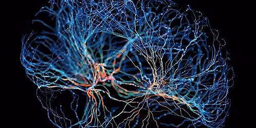 Exploring the Future of Mental Health