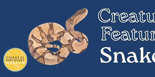 Creature Feature: Snakes