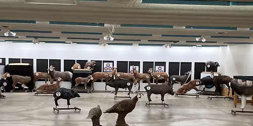 Wednesday Night 3D Shoot