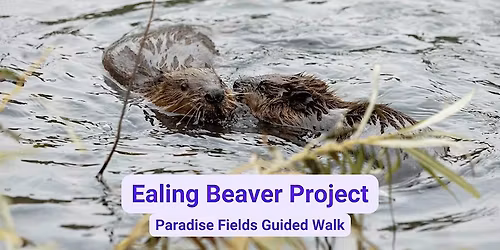 Family Ealing Beaver Project Free Guided Walk