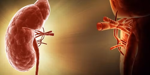 The Villages Kidney Support Group Meeting - Open Discussion