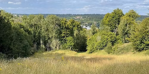 Deangarden Wildlife and Woodland Day