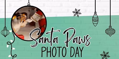 Pet Santa Photos