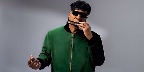 Stevie Wonder