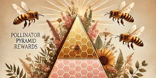 Queen Bee Pink Friday