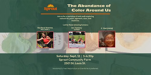 The Abundance of Color Around Us