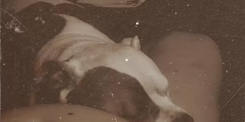 Diapers, Drinks and Donuts