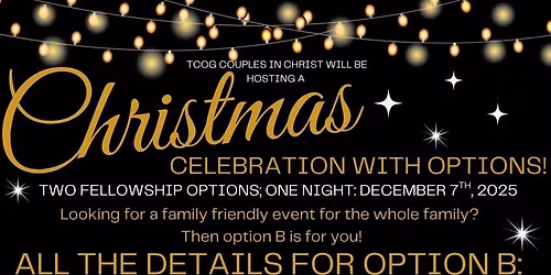 Option B: Family Christmas Light Scavenger Hunt