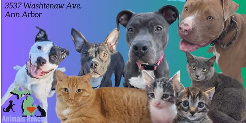 Petco Adoption Event for FMAR