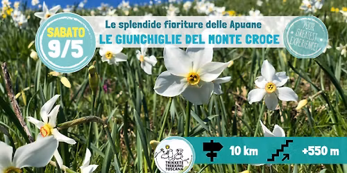 \ud83c\udf38\ud83c\udf3eIl Monte Croce e le sue Giunchiglie: Escursione tra le fioriture Apuane\ud83c\udf3b