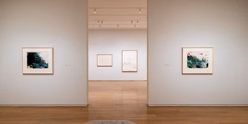 Curator Talk: Eduoard Kopp on "The Gift of Drawing: Cy Twombly"