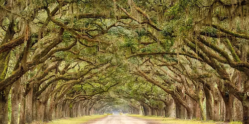Savannah, Georgia Reading Retreats