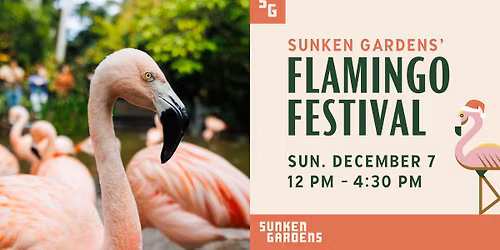 Flamingo Festival