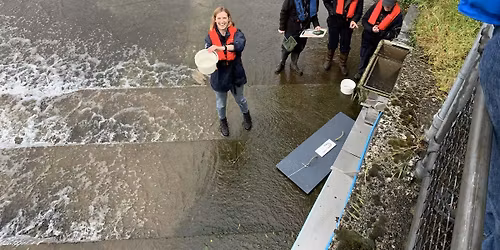Eel Monitoring Training at Allington Lock
