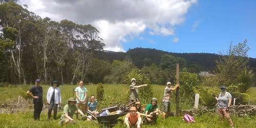 Auckland: Matuku Link restoration