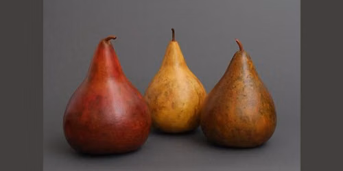 Pear Gourds - November 14