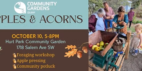 Apples & Acorns