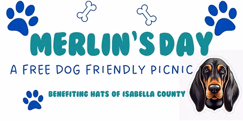 Merlin's Day - a FREE dog friendly picnic 