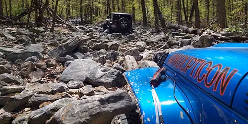 Jeeps Take Over Townsend