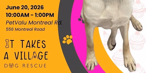 Adoption Event Ottawa \ud83d\udc97