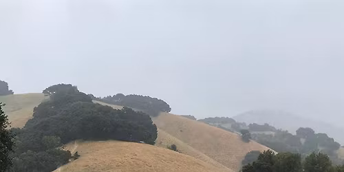 Transhumance Festival