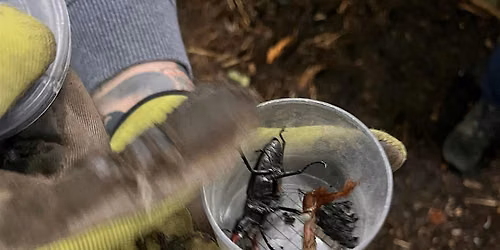 Paradise Nature Club: Garden Bioblitz